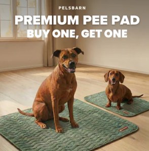 Pelsbarn Premium Pee Pad