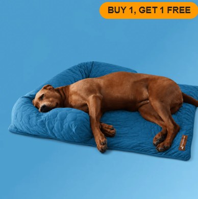 Pelsbarn Cooling Sofa Bed